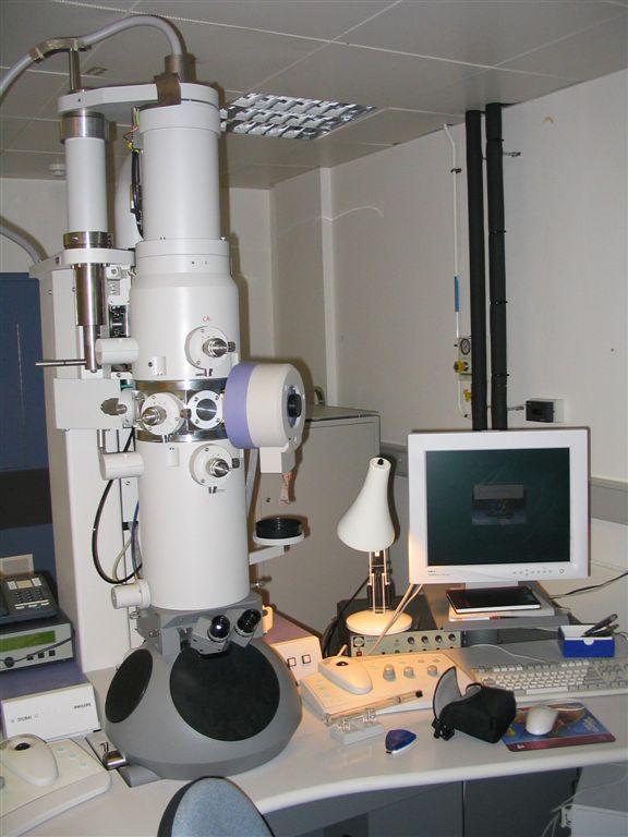 There are several types of microscopes (electron