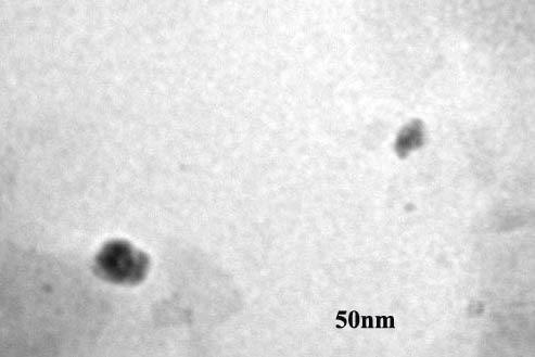 Fig. 8 TEM Images of silver nanoparticles prepared from Azadirachta indica.