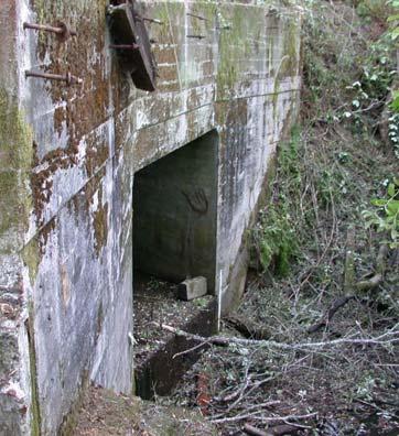 Large wood exposed after culvert replacement Exposed Bedrock Perched Outlet Upstream of