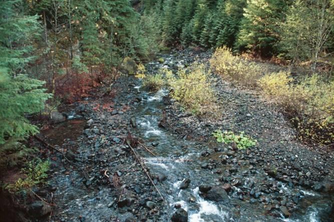 Culverts and Localized Aggradation Undersized culvert frequently ponds water upstream As water