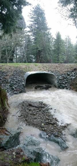 Incision is not caused by culverts Potential consequences associated with removing a culvert nick-point requires careful consider.