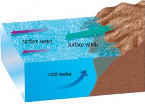 What Makes Deep Currents Move? Water temperature w Like air, warm water rises, and cool water falls w Density current = cool, dense water moving on an ocean floor.