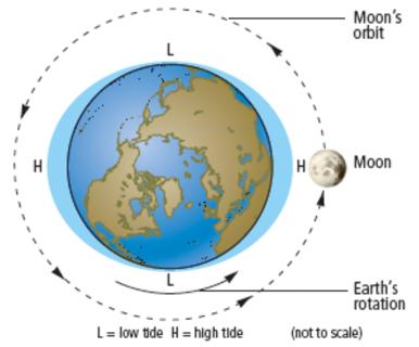 Tides Tides are caused by gravities of Earth and the Moon. w High tides occur where the Moon is closest to Earth (and opposite side) w Low tides occur at 90º to the high tides.