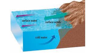 Salinity and Deep Currents Density currents are also produced by the differences in the salinity of seawater. Water with high salinity is denser than water with low salinity.