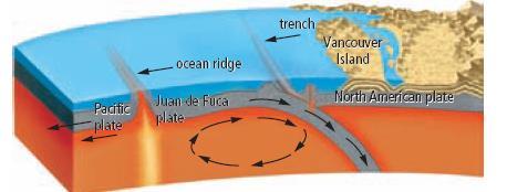 Ridges The greatest influence in shaping the ocean floor is the movement of Earth s crust through tectonic processes.