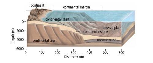 Continental margins (diagram) Technologies used to explore the ocean Many new technologies have been developed