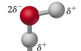 This applies to molecules two or more non-metals covalently bonded together Although they are sharing electrons, one atom