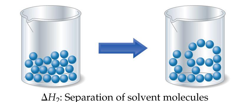 Step 2: Solvent particles must separate from each other.