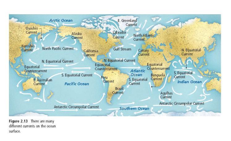 THERE ARE MORE THAN 20 MAJOR CURRENTS IN THE WORLD