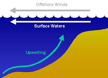UPWELLING STRONG WINDS BLOW OFFSHORE AND PUSH SURFACE WATER AWAY FROM THE LAND.
