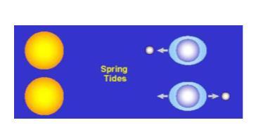 1. SPRING TIDE TYPES OF TIDES: OCCURS TWICE A MONTH WHEN EARTH, SUN AND MOON ARE IN A LINE.
