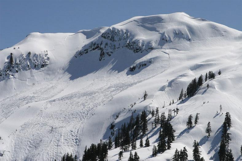 Figure 5. Photo courtesy Lief Hazelet. Some of the slab avalanche activity that occurred along Shuksan Arm after the accident, releasing on April 21 or 22, 2006.