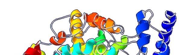 Protein NMR H Highly complex series of spatial