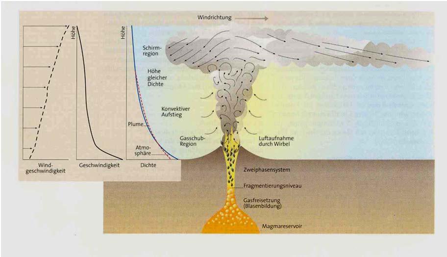 Plume Physics - The analogy to processes in subaerial volcanic eruption columns is