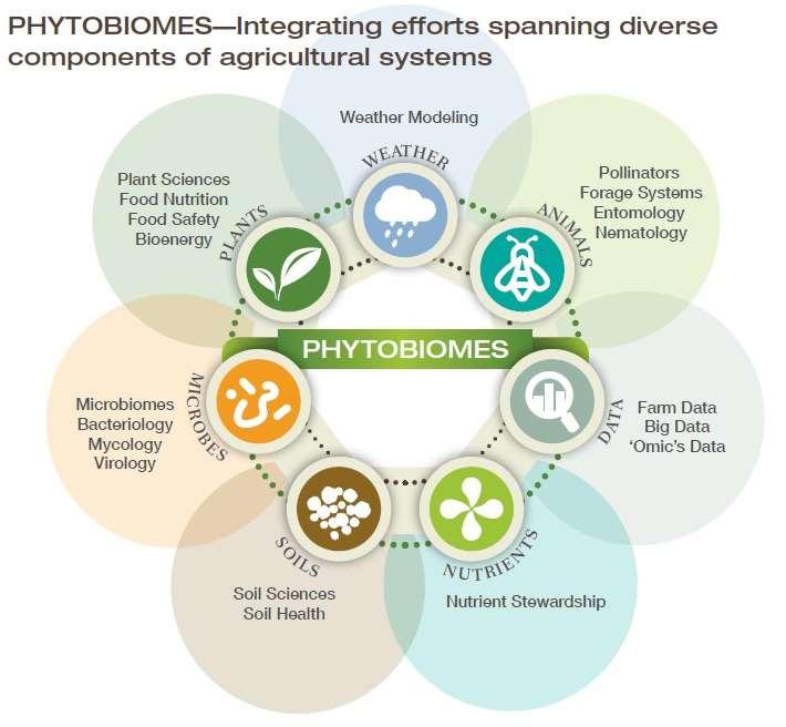 Everything we do impacts the phytobiome.