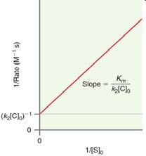 i [S] >> K m above equation simpliies to, Mechanism The reaction rate plateau is at k 2 [E]