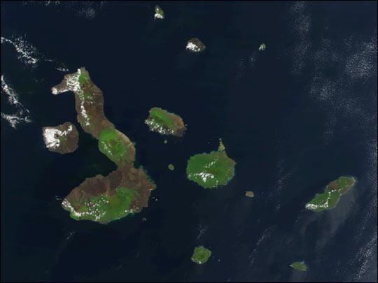 observed that the Galápagos Islands were