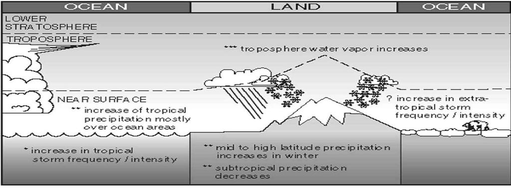 Hydrological and storm-related indicators LOWER STRATOSPHERE TROPOSPHERE *** troposphere water vapour increases NEAR SURFACE ** increase of tropical precipitation mostly over ocean areas?