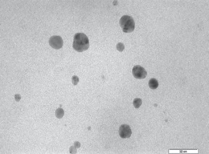 Silver nanoparticles are generally known to produce antibacterial activity to a wide range of bacteria by operating various mechanisms.
