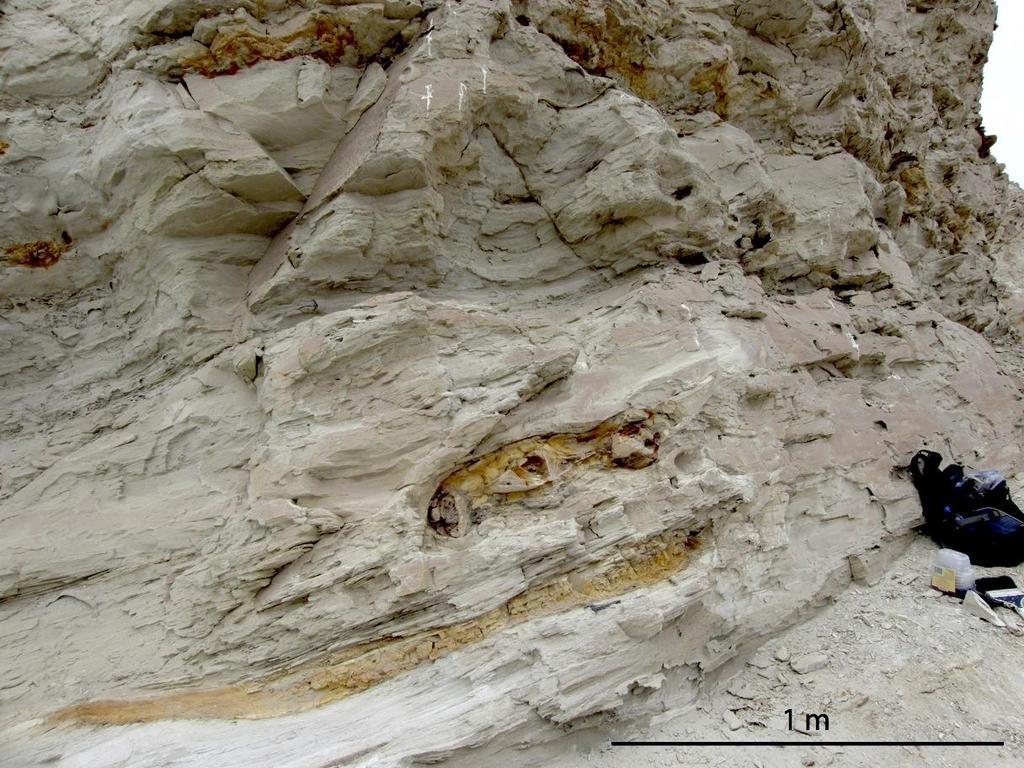Location 2, 3, and 4 Figures Figure 16. Whale 2. The gently sloping left wall of the whale s channel is faintly visible in this picture. The concretion s channel is clear.