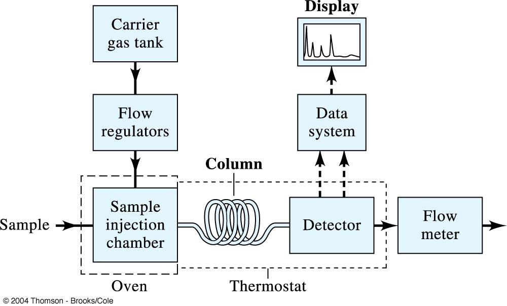 Chapter 31 Gas Chromatography GAS-LIQUID CHROMATOGRAPHY In gas chromatography, the components of a vaporized sample are fractionated as a consequence of being partitioned between a mobile gaseous