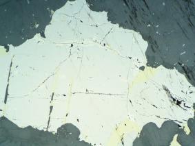 (c & d) Anhedral chalcorite with an aureole of disseminated