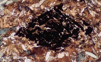 5 mm  quartz biotite chlorite Dominant