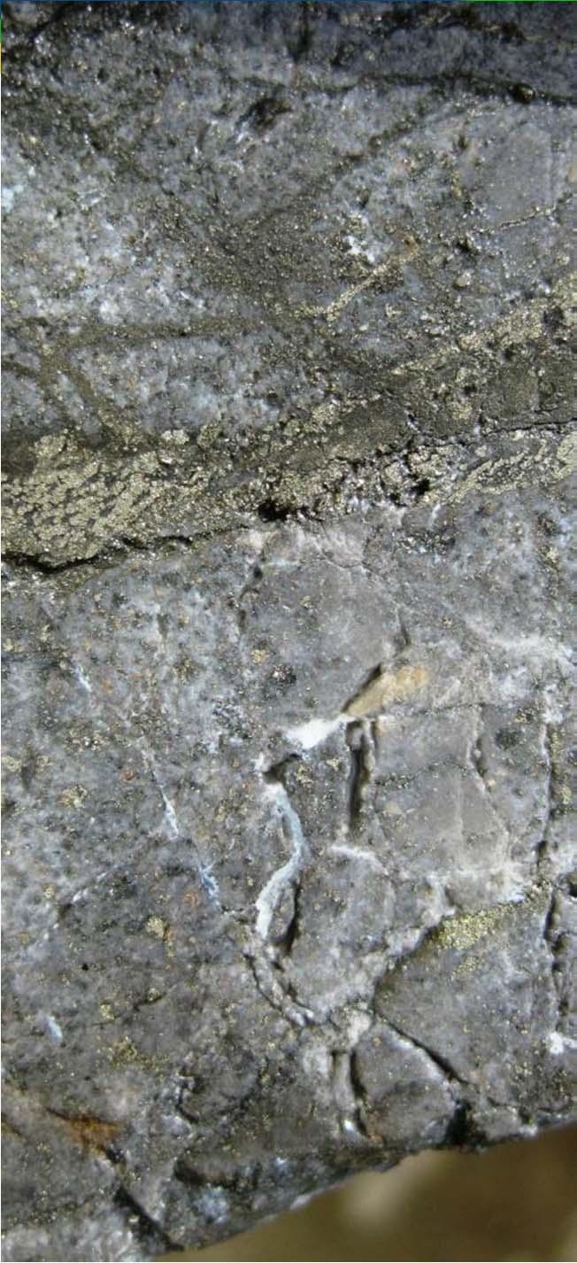96m quartz-alunite