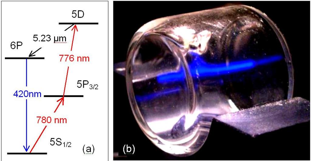 effect is different to two-photon parametric gain. Recently, blue light obtained in a cascade system was used for state-selective imaging of cold atoms [10].