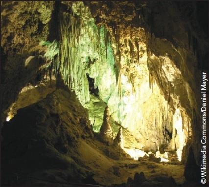 If you went inside of one of these caves and turned off your headlamp, you would see nothing at all. There would be no shadows or shapes, just blackness.