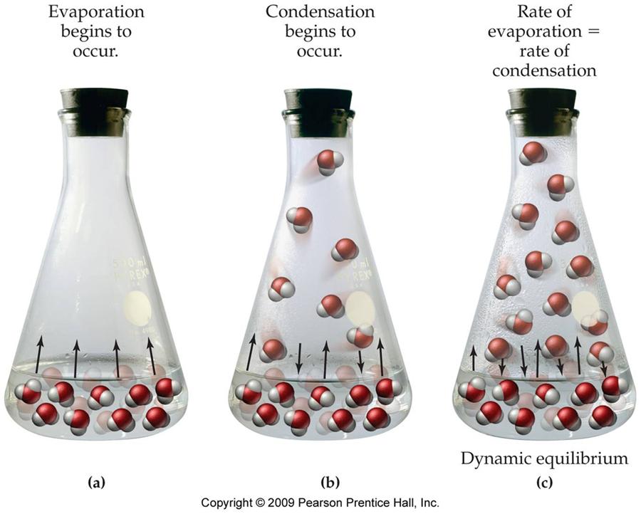 15.1 THE DYNAMICS OF CHEMICAL EQUILIBRIUM vaporization: liquid gas From a molecular viewpoint, a molecule escapes from the liquid state to the gaseous state As the liquid evaporates, more molecules