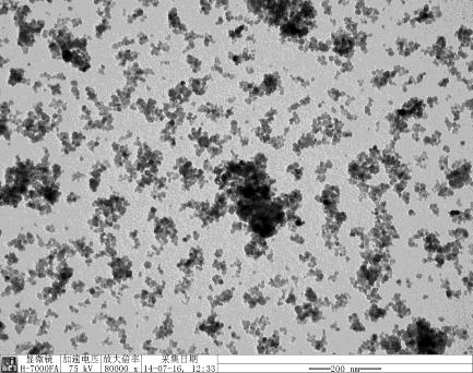 nanoparticles Plate 5: