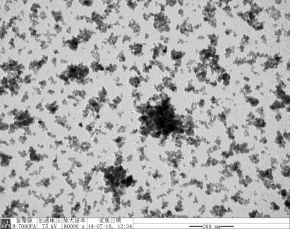 nanoparticles Plate 7: