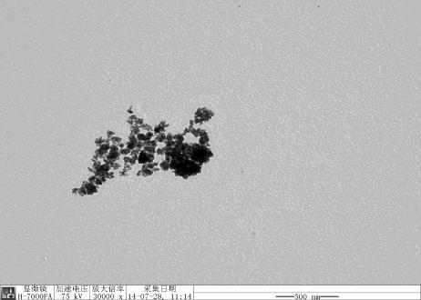 nanoparticles coated with silica