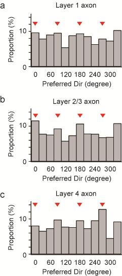 Supplementary Figure 10 Distribution of preferred directions of LGN axons.