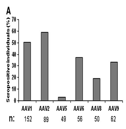 AAV5 clinically proven, safe vector with potential for greater patient access AAV5 serotype: high liver tropism 1 Lowest prevalence of pre-existing anti-aav5 neutralizing antibodies in the general