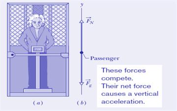 5.9 Applying Newton s Laws Sample Problem, Part a The scale reading is equal to the magnitude of the normal force on the passenger from the scale.