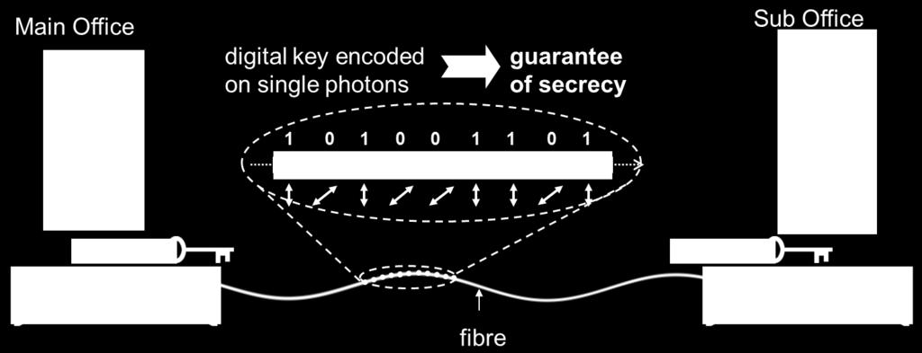 Quantum channel on shared fiber with
