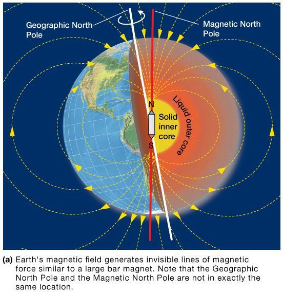 Evidence for Plate Tectonics Sea floor studies from World War II Use of sonar New technology enabled study of Earth s magnetic field Evidence for Plate Tectonics