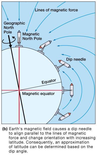 Evidence for Plate Tectonics Paleomagnetism study of Earth s ancient magnetic field