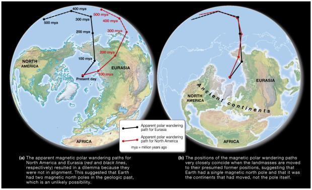 Evidence for Plate Tectonics Apparent polar wandering Location of North Pole changed over time Magnetic dip data Paleomagnetism and the Ocean Floor 1955 deep water rock mapping Magnetic anomalies