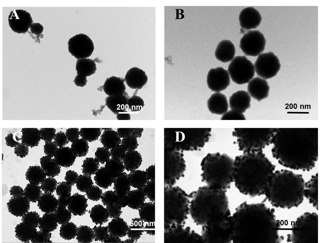 2 Fig. S1. Transmission electron micrograph (TEM) of (A) Fe 3 O 4 microspheres, (B) 3 magnetic Fe 3 O 4 @SiO 2 core/shell composites, (C) and (D) magnetic 4 Fe 3 O 4 @SiO 2 @Au composites.