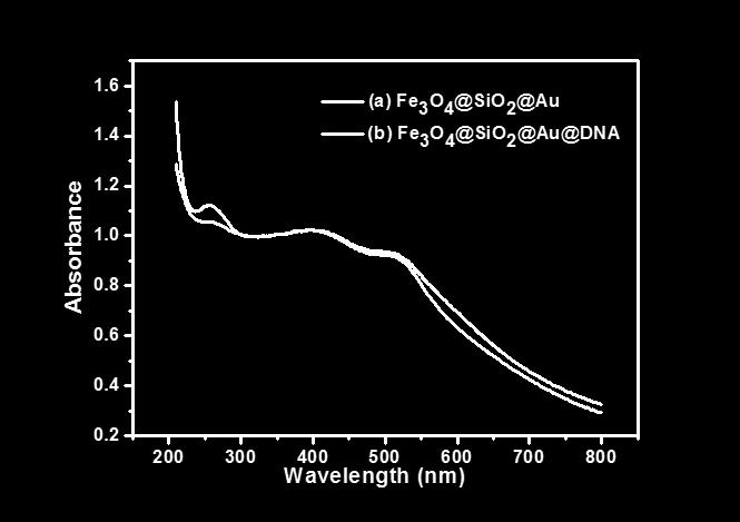 2 Fig. S2. The UV-Vis absorption spectra of (a) Fe 3 O 4 @SiO 2 @Au (black curve) and (b) 3 Fe 3 O 4 @SiO 2 @Au@DNA (red curve).