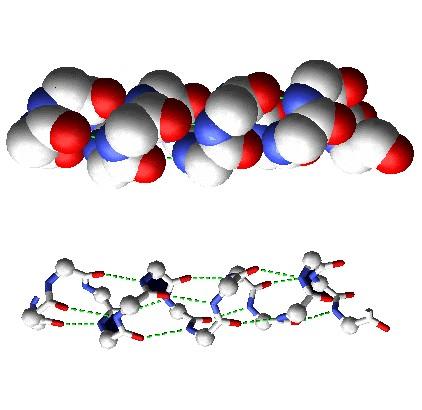 Review α-helices Properties Structure repeats every 5.4 Å 3.6 residues / turn of helix (or 1.