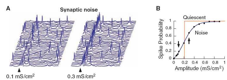 3. Quantum neurophysiology putative mechanisms of quantum computations in neuronal networks Impact of synaptic noise on input-output relationships of single neurons Destexhe and