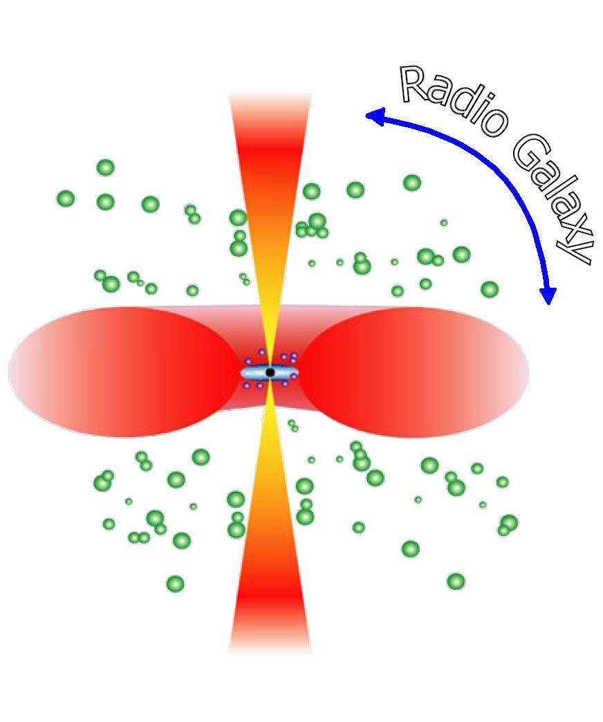 Radio-Galaxy Nuclei - Two Competing Models Is nuclear X-ray emission dominated by: The