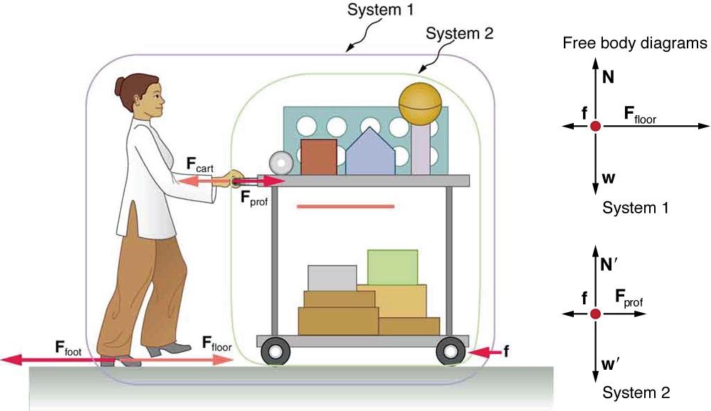 System Example: A physics professor pushes a cart of