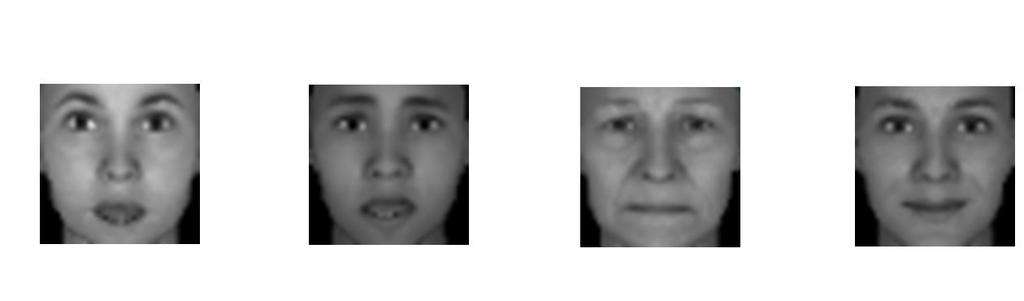 ISA for facial components In our database we had 800 different front view faces with the 6 basic facial expressions. We had thus 4,800 images in total. All images were sized to 40 40 pixel.