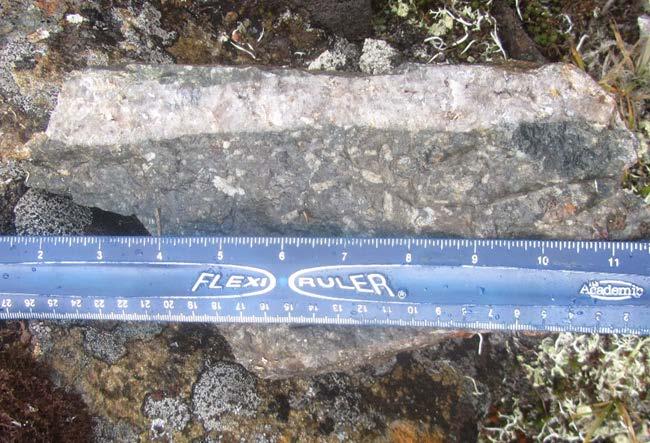 Molybdenum-Gold-Rhenium-Quartz Stockwork, Upper Beaver Creek During 2015-2017, PRGCI discovered and sampled a molybdenum-bearing, quartz stockwork in syenite porphyry near the southeast boundary of