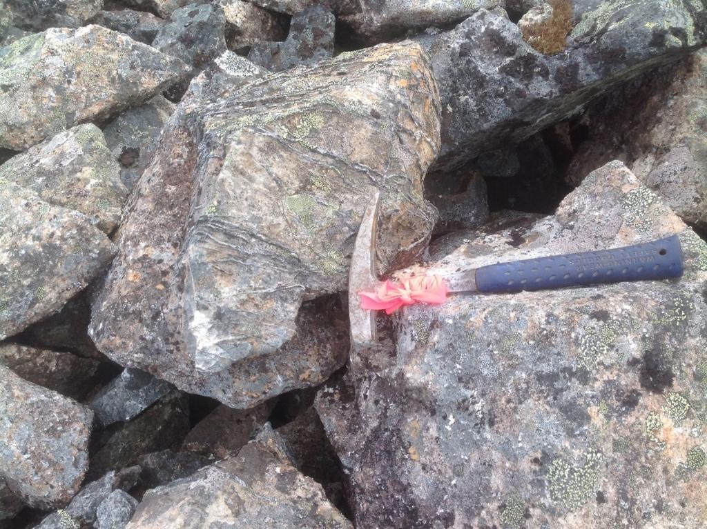 Stockwork veining in syenite at sample site 290385.